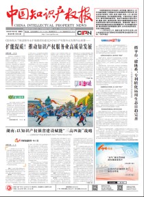 中国知识产权报
